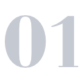 Áreas de Especialización 01