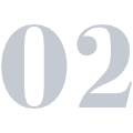 Áreas de Especialización 02