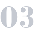 Áreas de Especialización 03